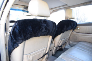 Sheepskin Double Cap Back