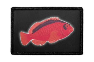 Fish Logo