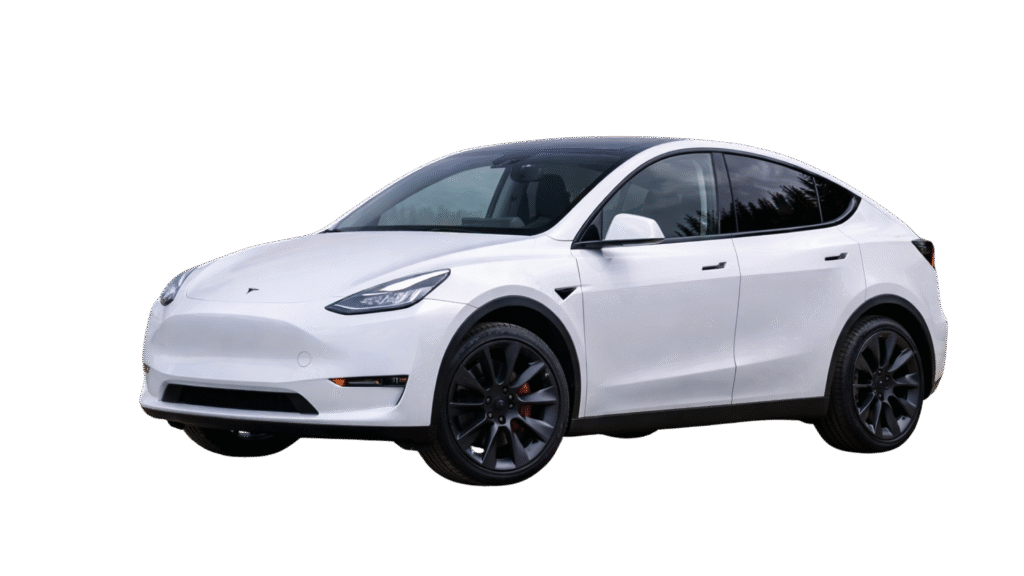 Tesla Model Y | Covers and Camo