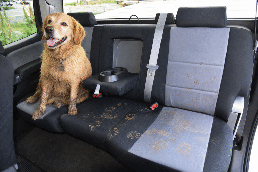 Coversandcamo Pets and mud | Covers and Camo
