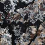 | Covers and Camo
