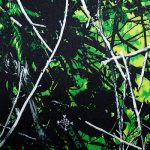 | Covers and Camo