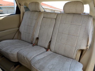 <b>
2015 Lexus RX350
</b>
<br>
Insert: Bone Croc E41 (Sim. Leather)
</br>Trim: Bone Croc E41 (Sim. Leather)
<br>Product: Exotic - Gold Series</br> | Covers and Camo