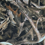 1066345008 | Covers and Camo