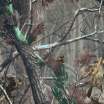 1260367403 | Covers and Camo