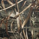 1653151300 | Covers and Camo