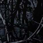 3577814164 | Covers and Camo